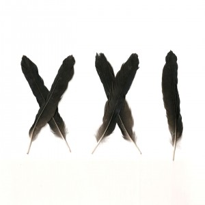 xx1cover